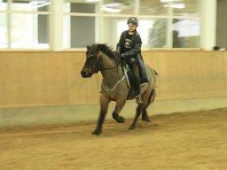 img_7904_web